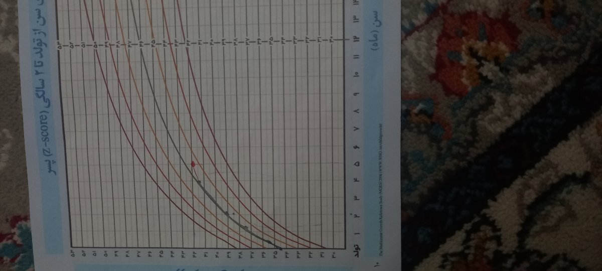 نمودار دور سر نمودار دور سر