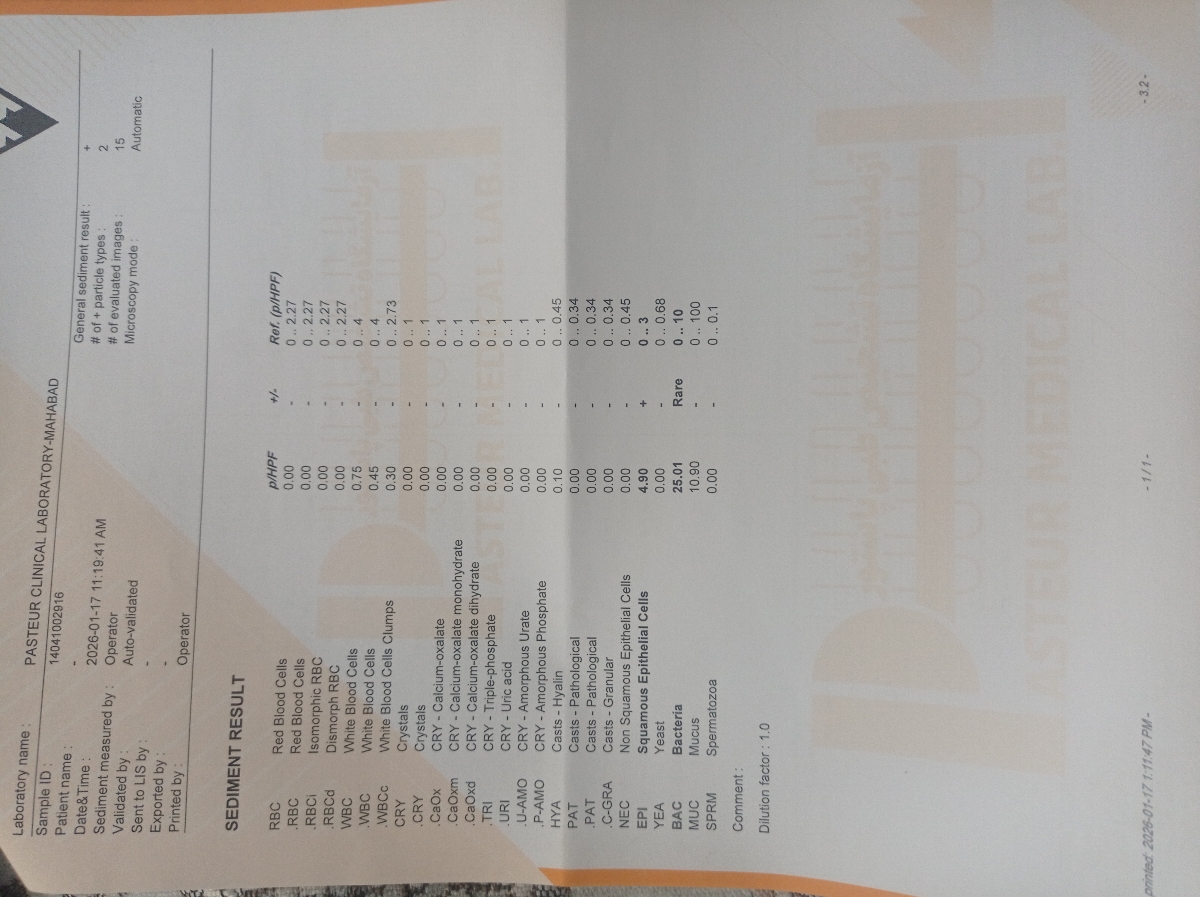 تفسیر ازمایش برای اقدام به بارداری