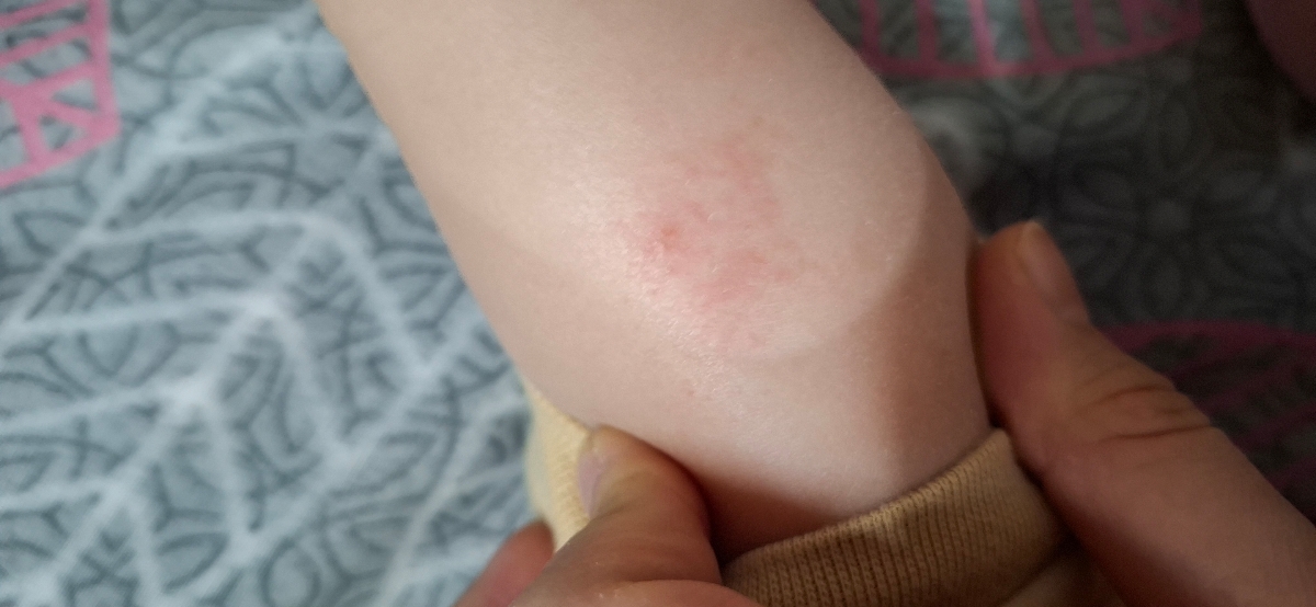 اینم الان دیدم