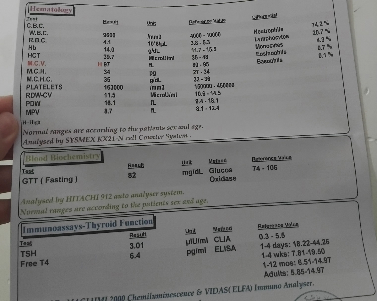 قند ناشتای لب مرز قند ناشتای لب مرز