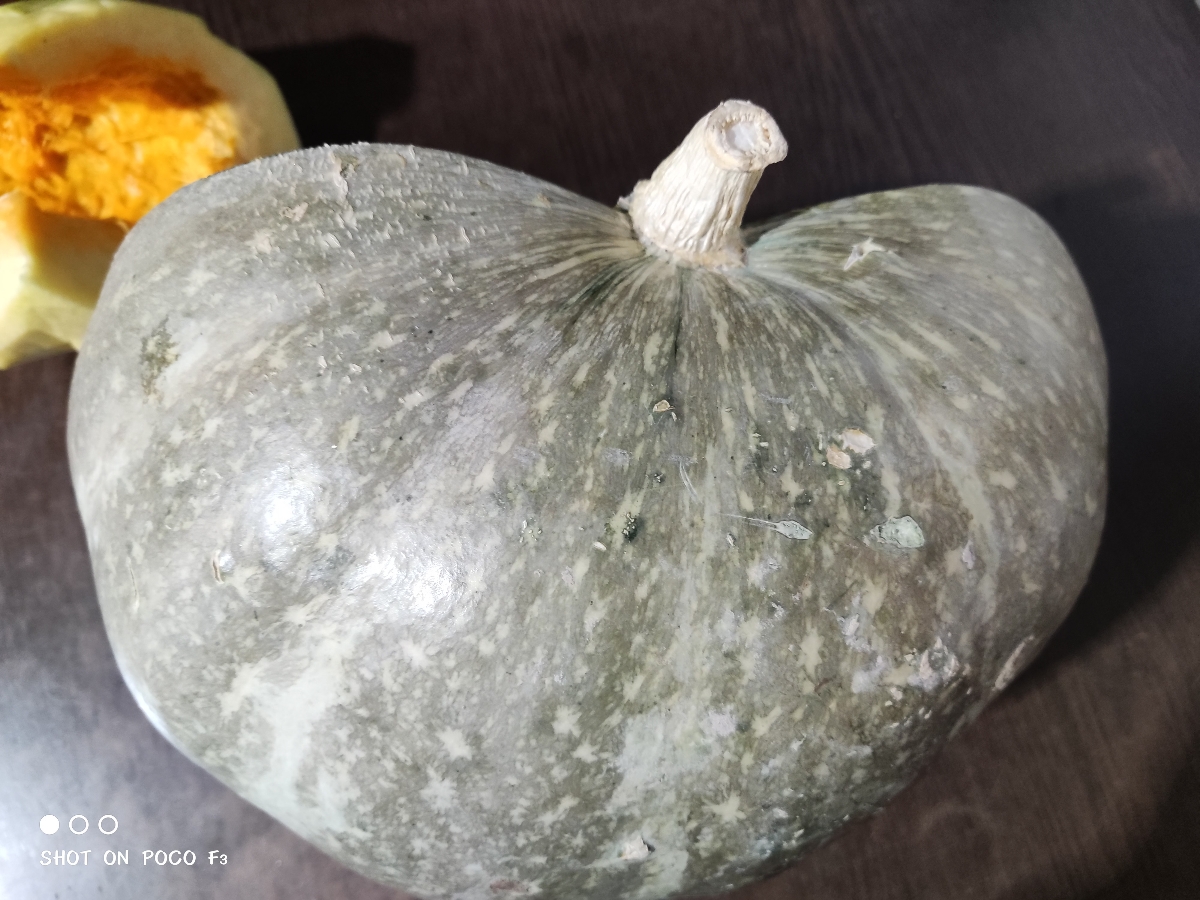 سوال درمورد کدو تنبل سوال درمورد کدو تنبل