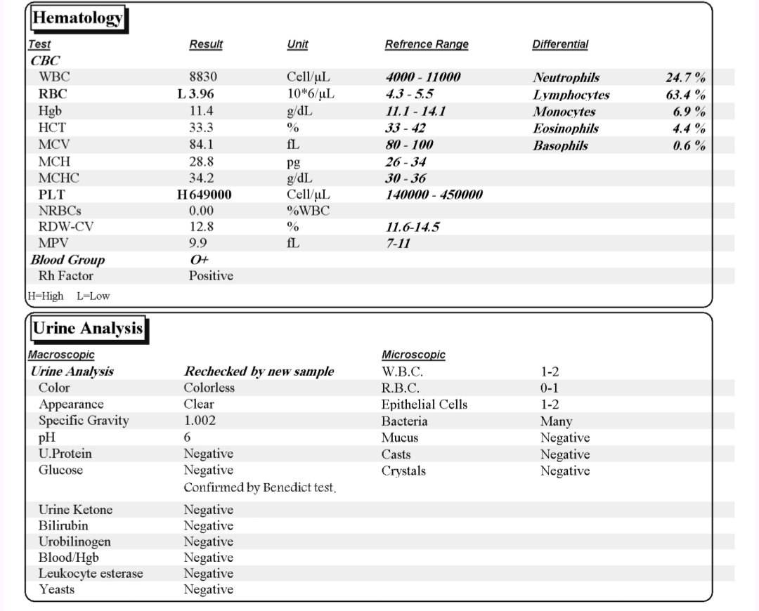 درخواست تفسیر آزمایشات نوزاد درخواست تفسیر آزمایشات نوزاد