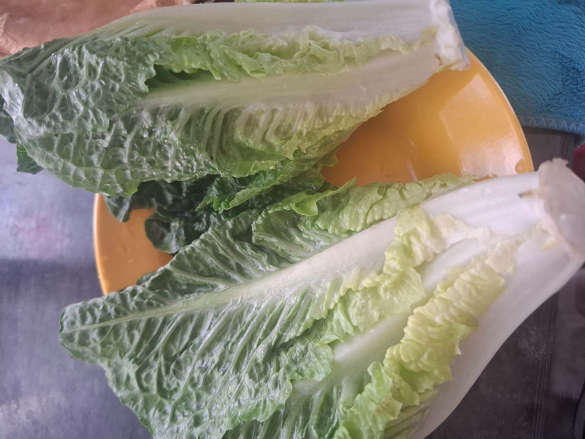 میان وعده کاهو کوچولو