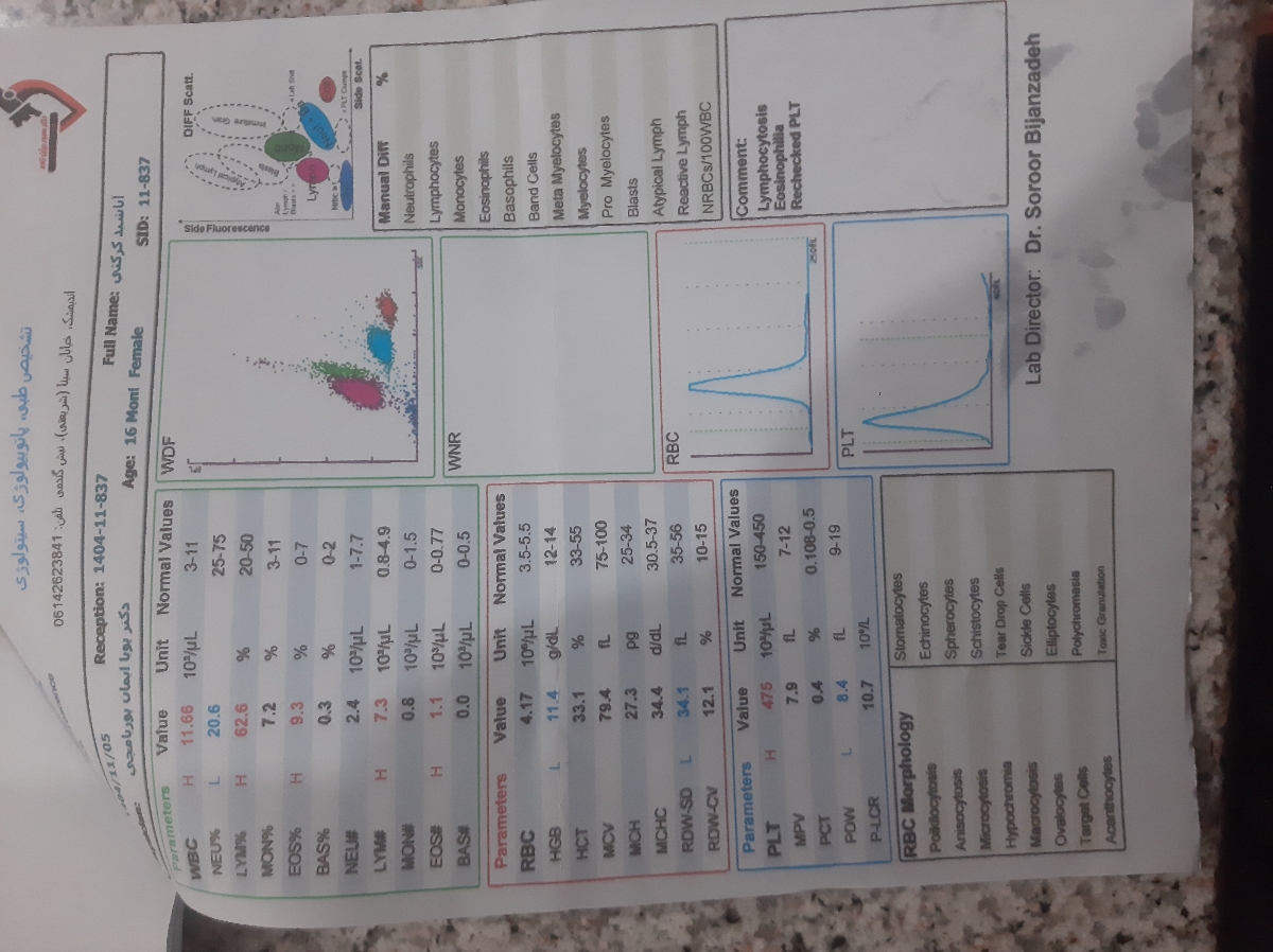 چکاب کامل و کم خونی