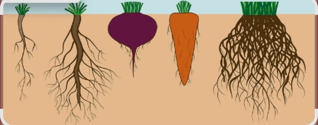 مامانای دوره ابتدایی که اهل تحقیق هستین بیاین کمک مامانای دوره ابتدایی که اهل تحقیق هستین بیاین کمک