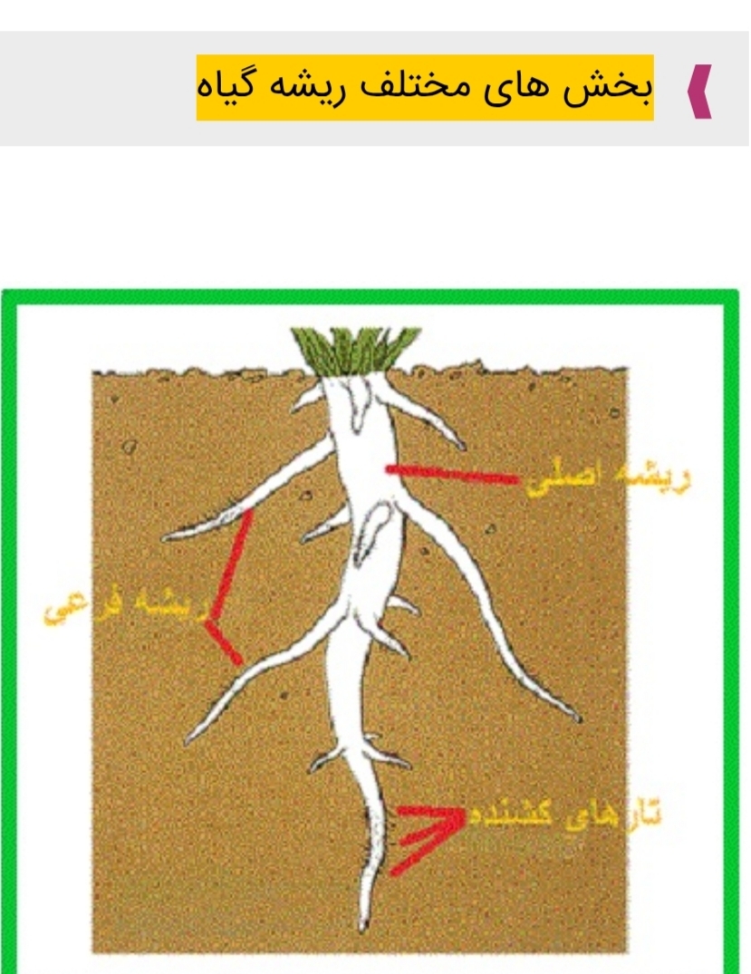 مامانای دوره ابتدایی که اهل تحقیق هستین بیاین کمک مامانای دوره ابتدایی که اهل تحقیق هستین بیاین کمک