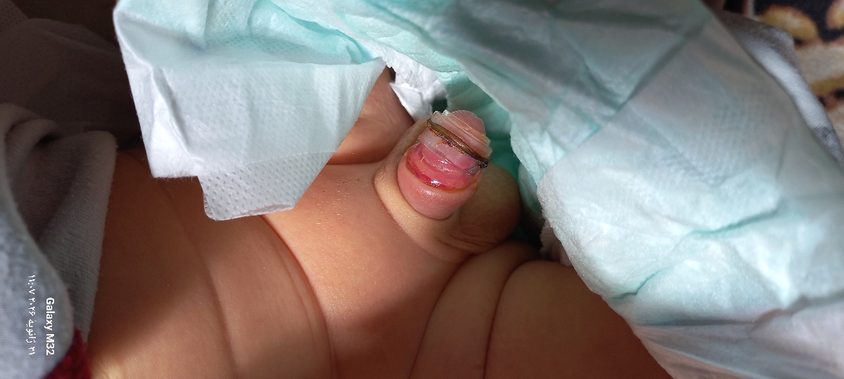 این عکسشه این عکسشه