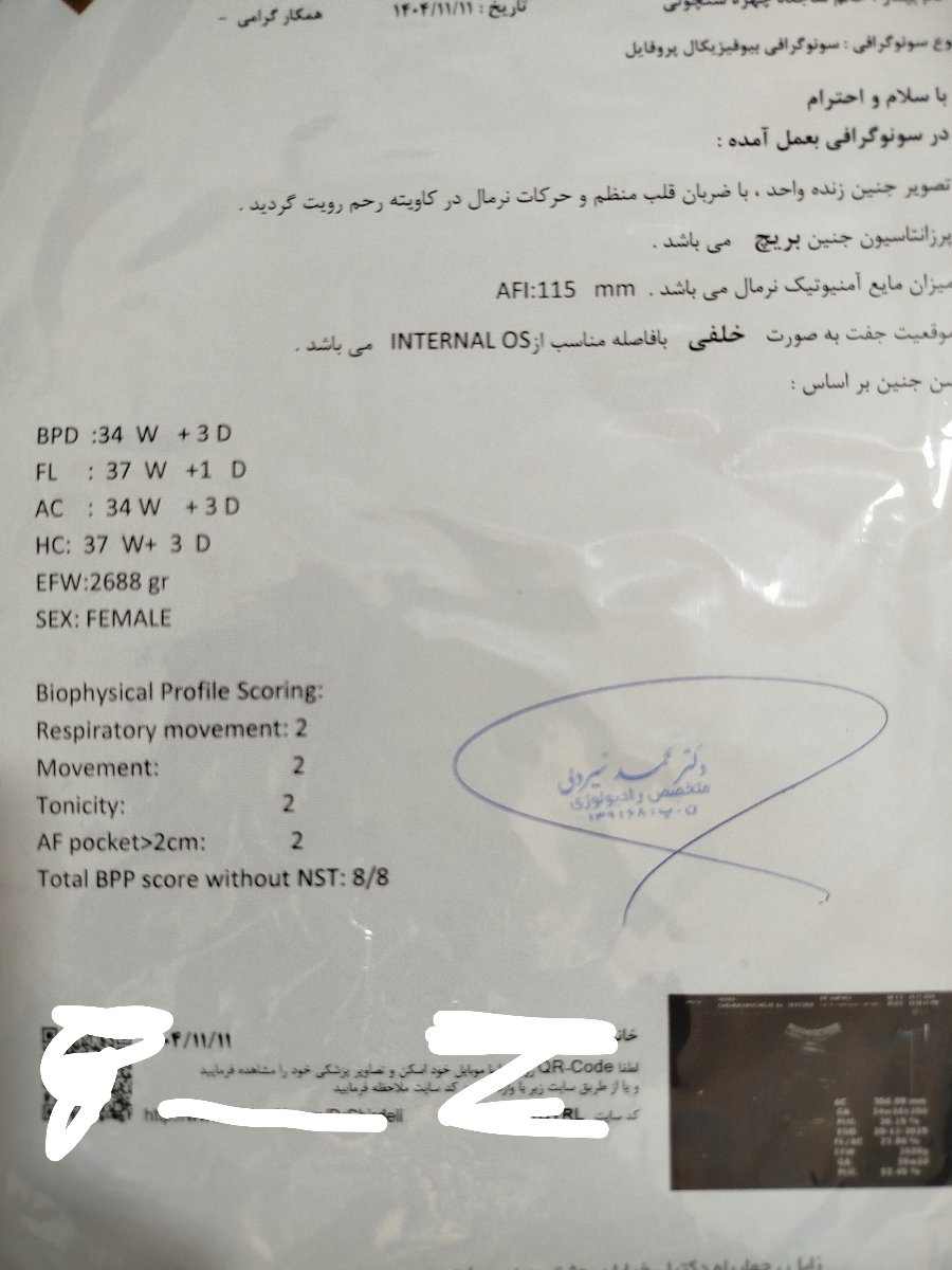 سنوی منو ببنید 