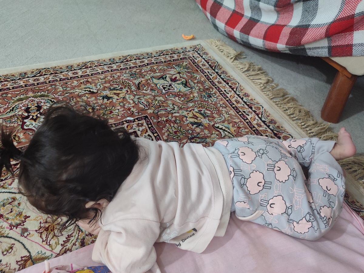 همش همینطوره ۲۴ ساعت روز