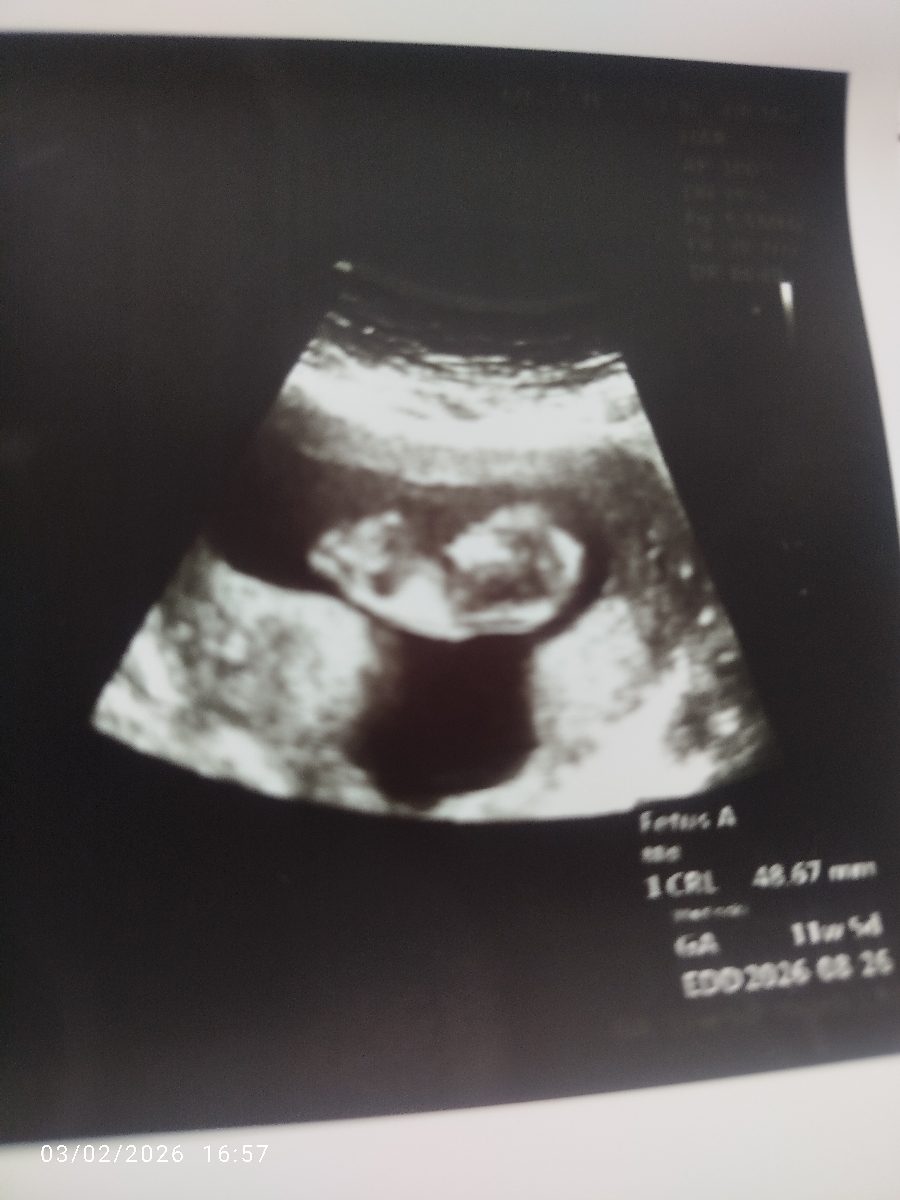 خانما بیاید حدس بزنید