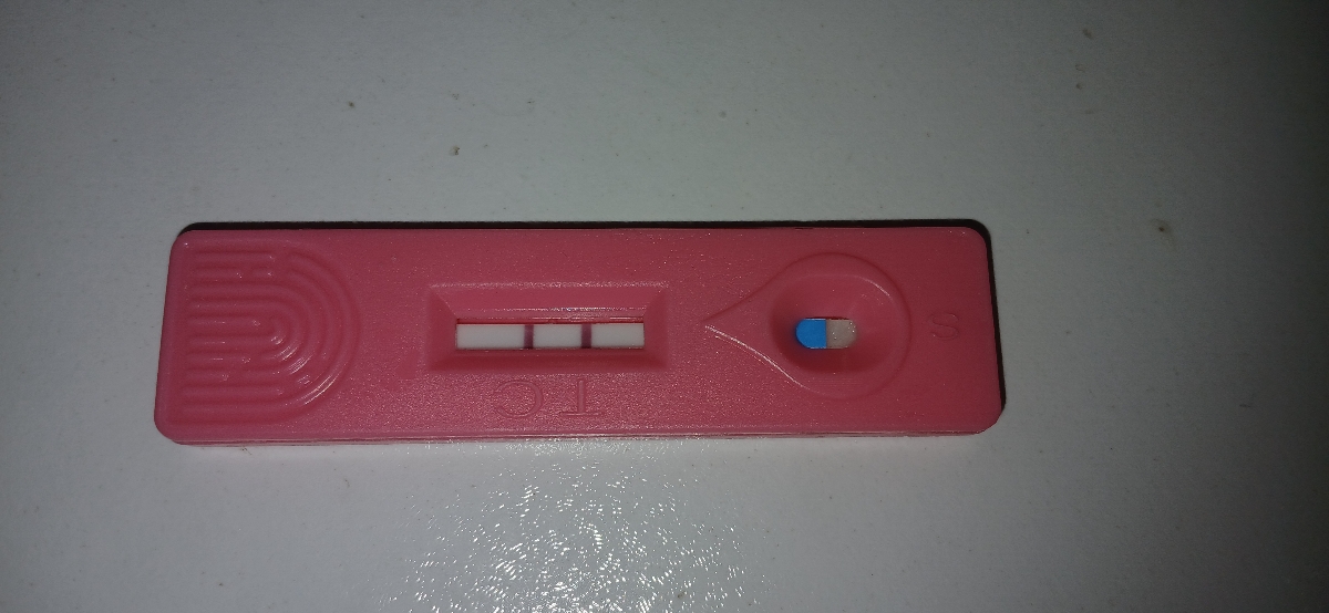 بچها بیاین ببینین این چی میگه
