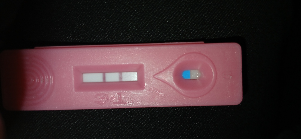 بچها بیاین ببینین این چی میگه