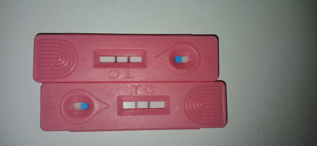 بچها بیاین ببینین این چی میگه