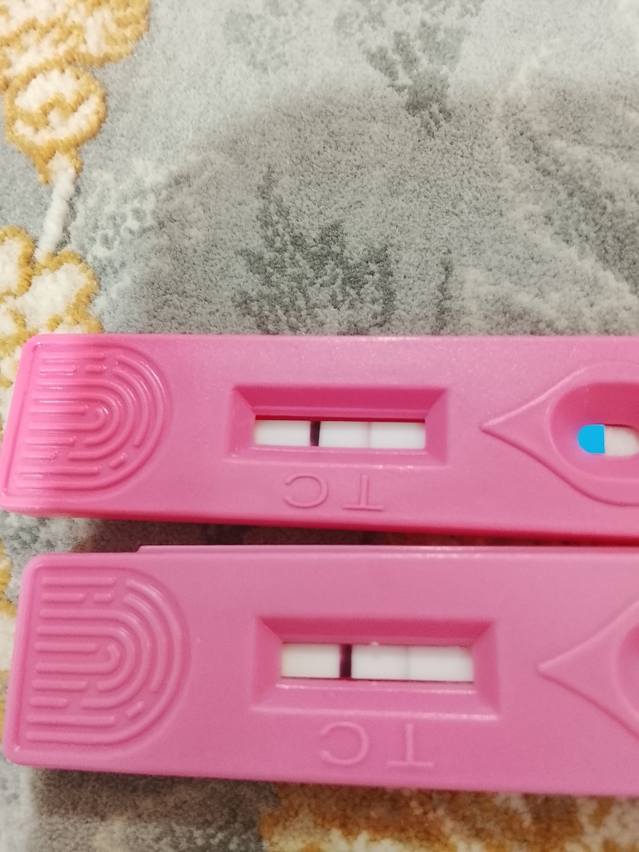 بچها بیاین ببینین این چی میگه