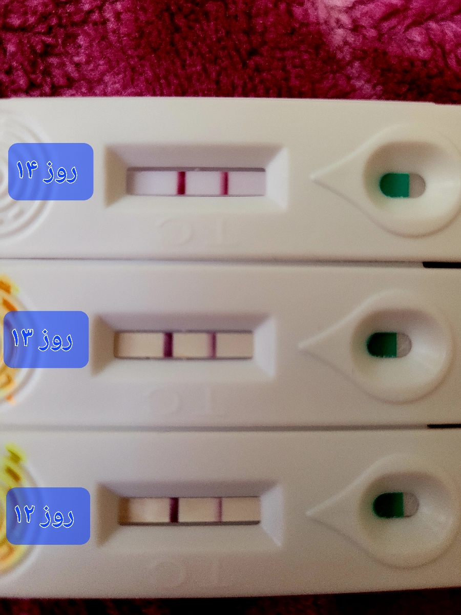 تاااا بعد آزمایش من همینطور بی بی میزدم😐