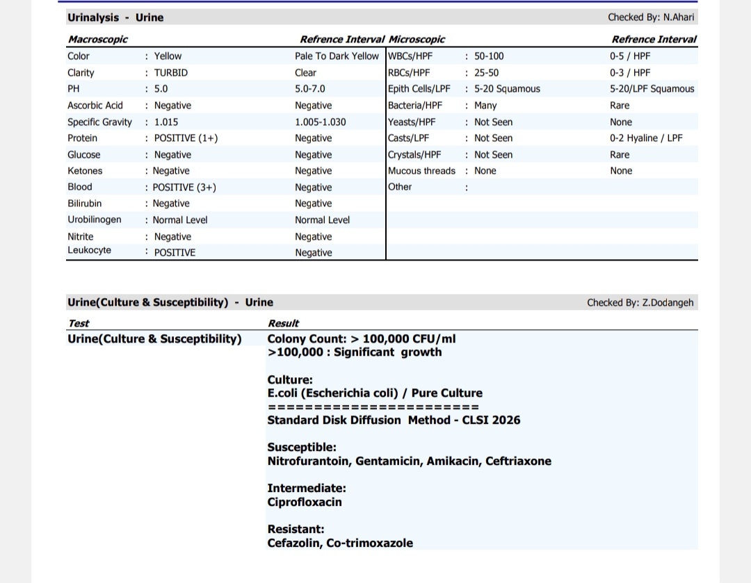 خانم دکتر جواب آزمایش منو میفرمایید