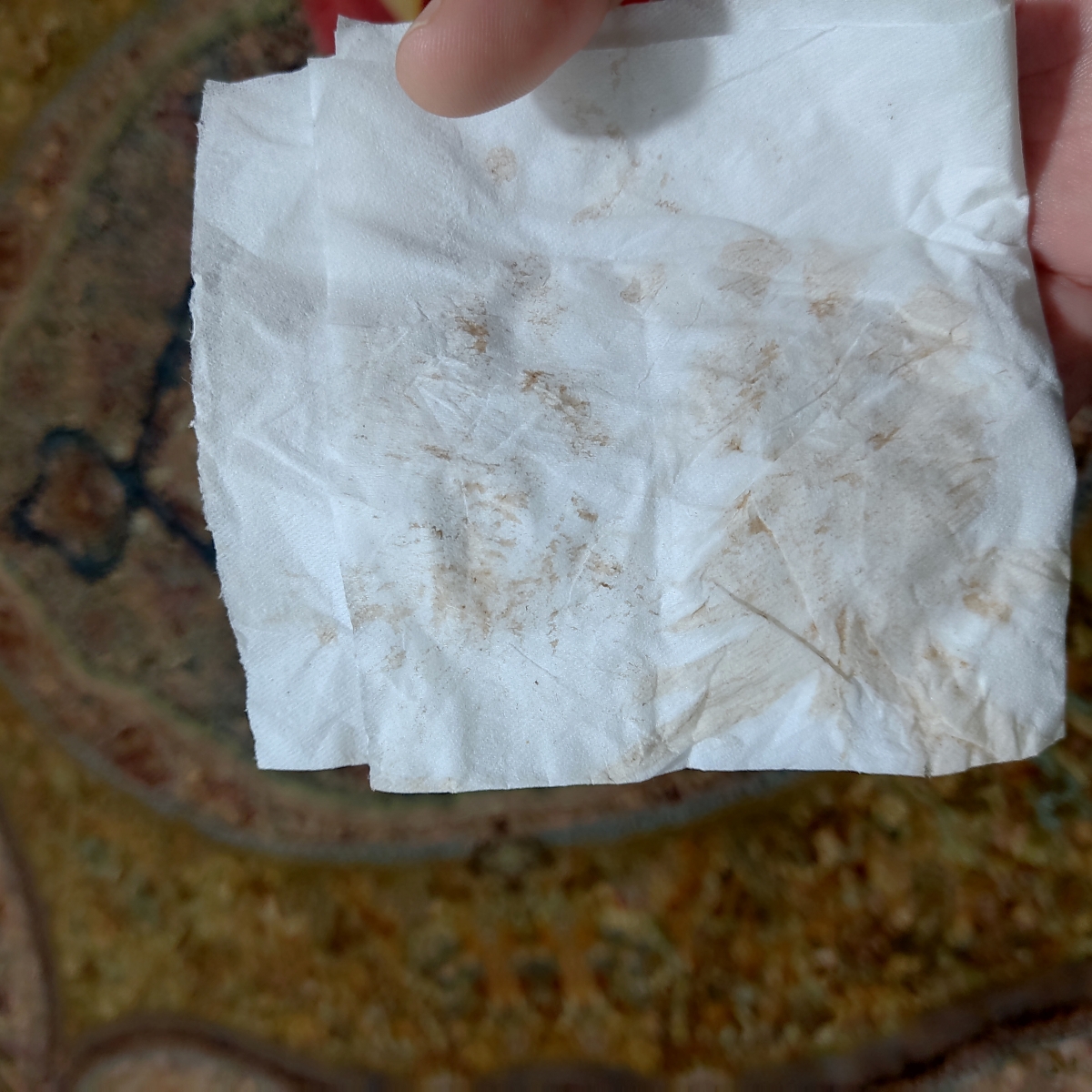 ببخشید بابت  عکس 