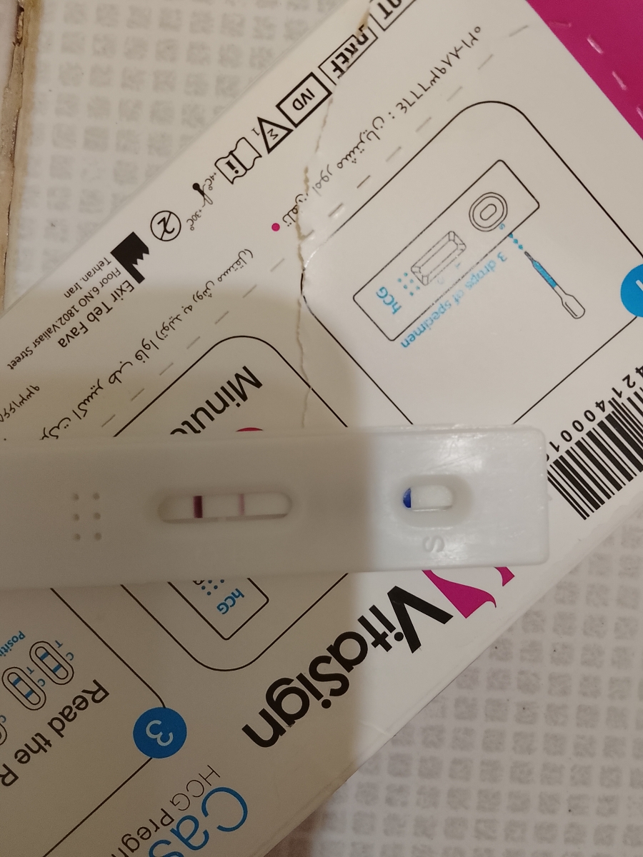 روز یازدهم انتقال جنین