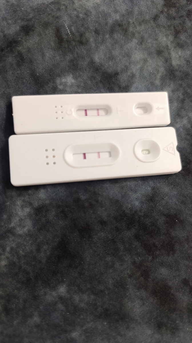 روز 8 انتقال جنین