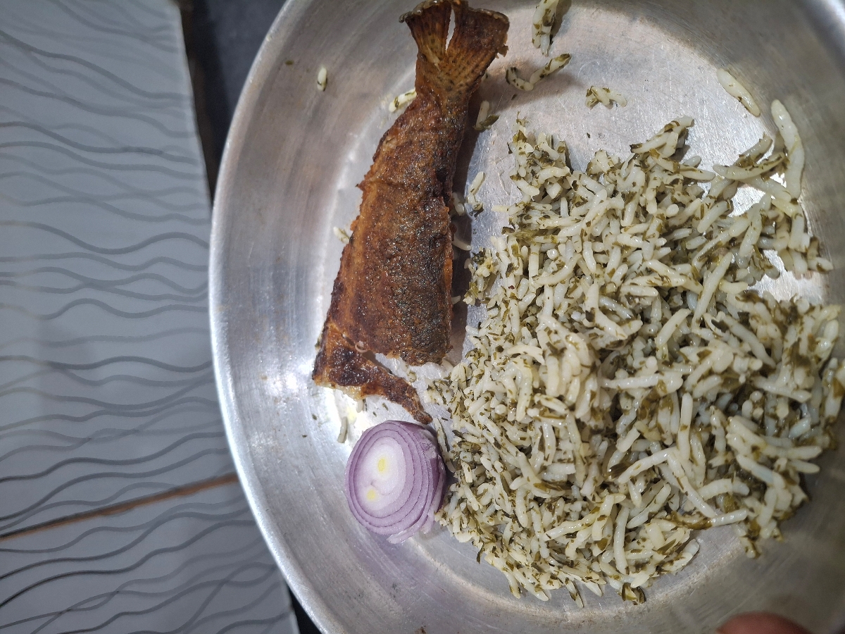 شام بعد باشگاه 
میدونم سنگینه ولی نهار آجیل دو تایی خوردم و ی انار