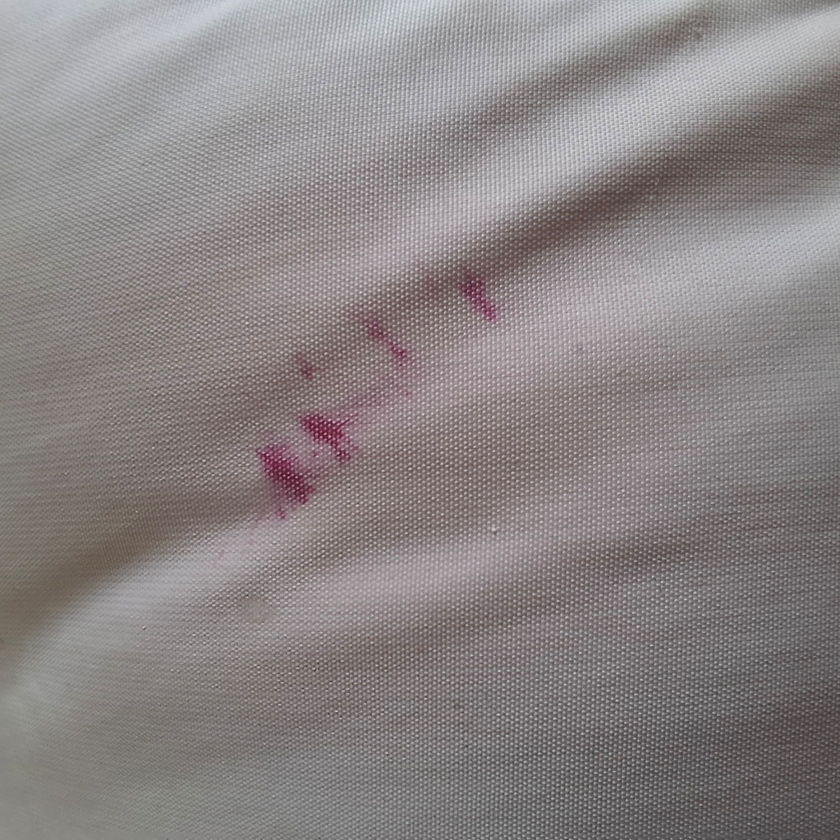 به نظرتون این رد رژ لب هستش؟