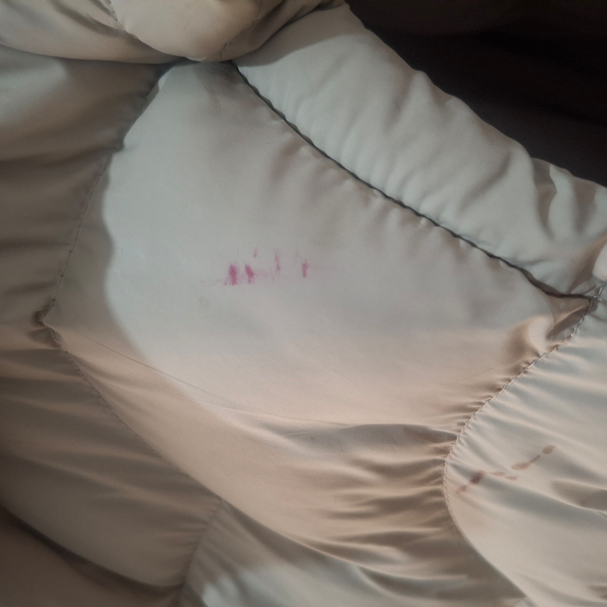 به نظرتون این رد رژ لب هستش؟