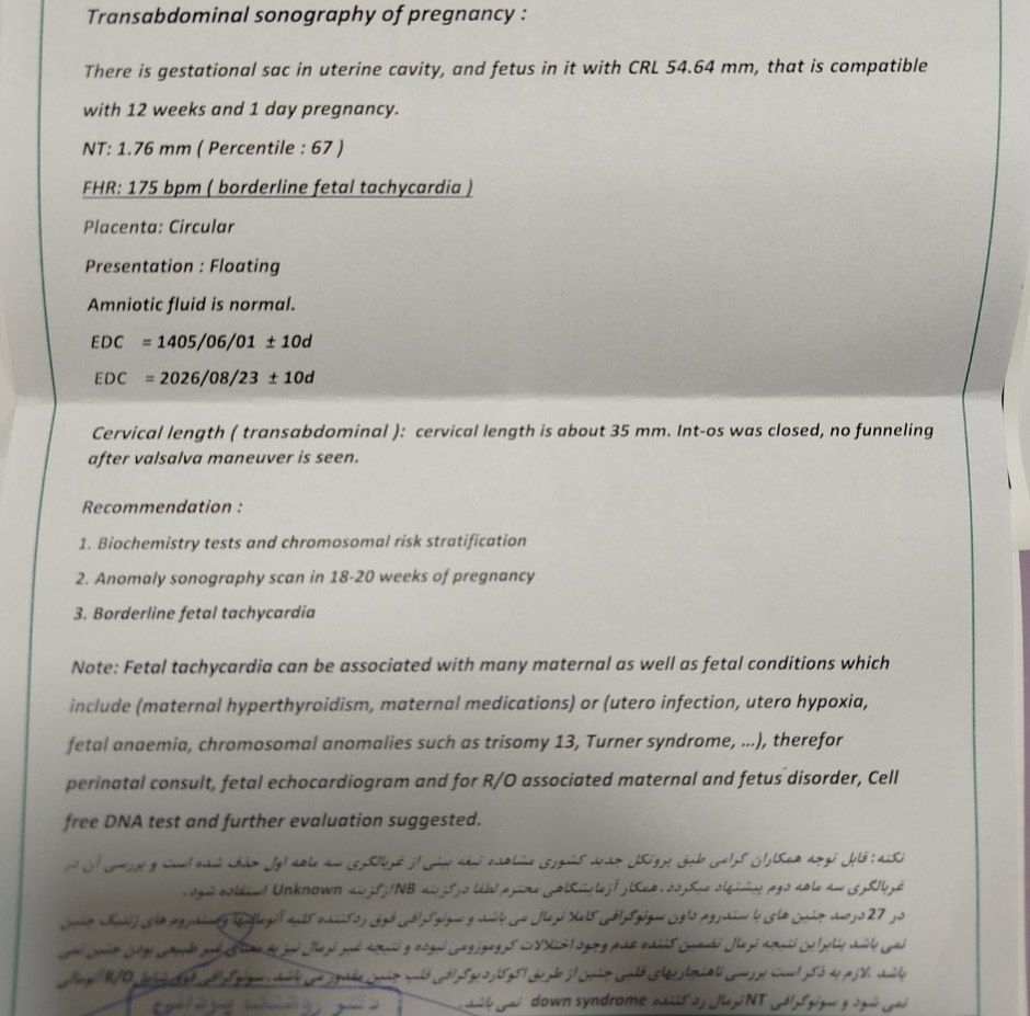 خانم دکتر سونو ان‌تی دادم 🥲❣️