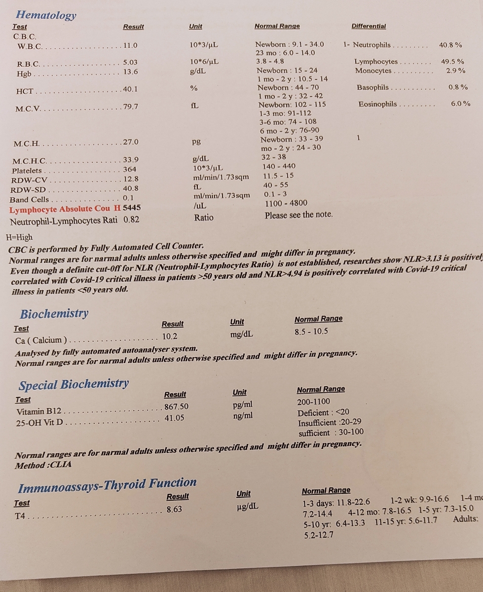 کمبود اهن ،چکاب یکسالگی ،قطره لیپوزفر ،غذا کمبود اهن ،چکاب یکسالگی ،قطره لیپوزفر ،غذا