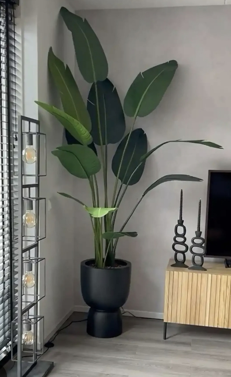 سلام خانمامیشه لطفاراهنمایی کنید؟برای کنارسالن چه چیزی مناسبه