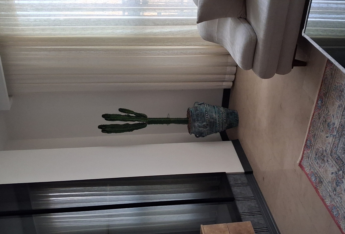 ازین مدل گل بخر مرگ نداره ماهی یه بارم من اب میدم شیکم هست