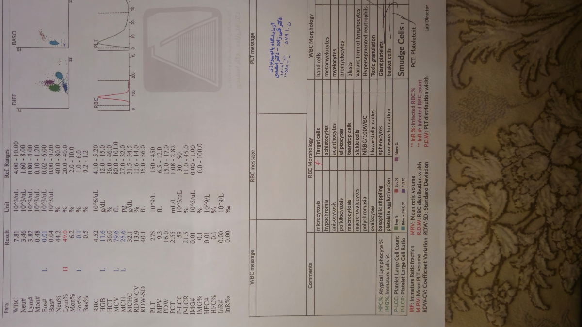تفسیر جواب ازمایش اقدام ب بارداری