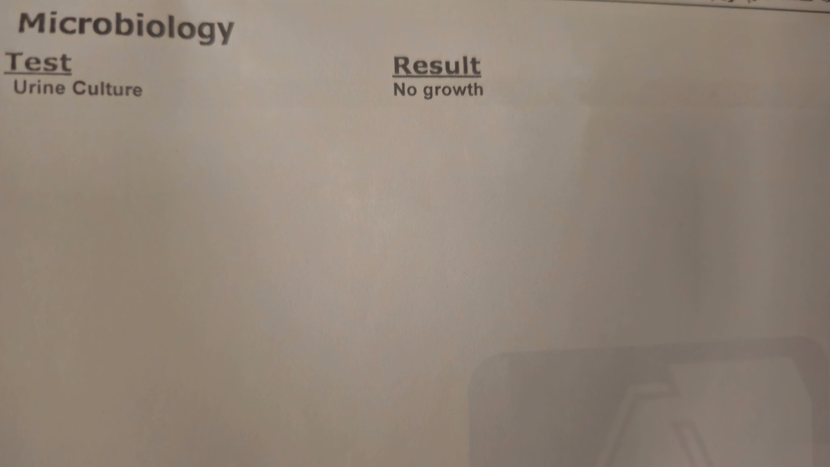 تفسیر جواب ازمایش اقدام ب بارداری