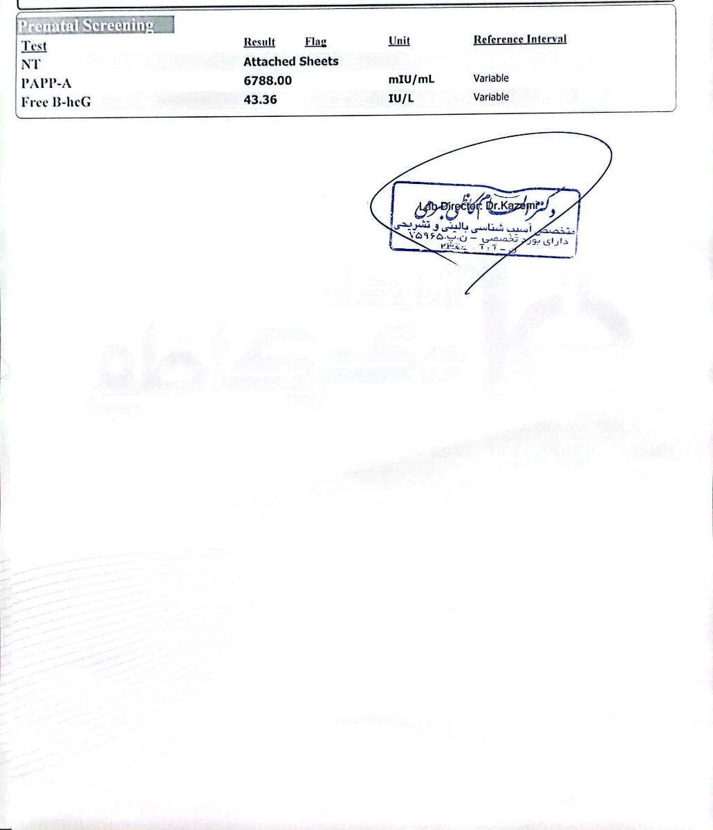 تفسیر سونو و آزمایش NT