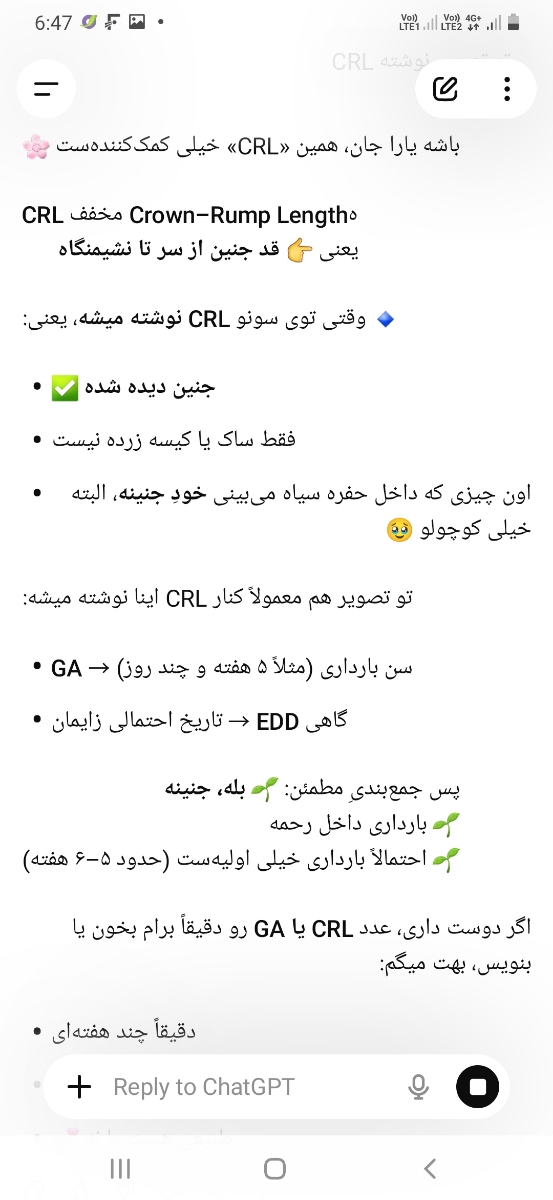 این چیه داخل عکس