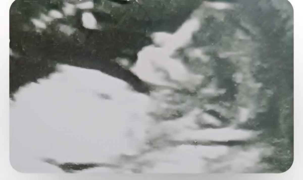 خانومای متخصص ان تی بیاین تشخیص بدین