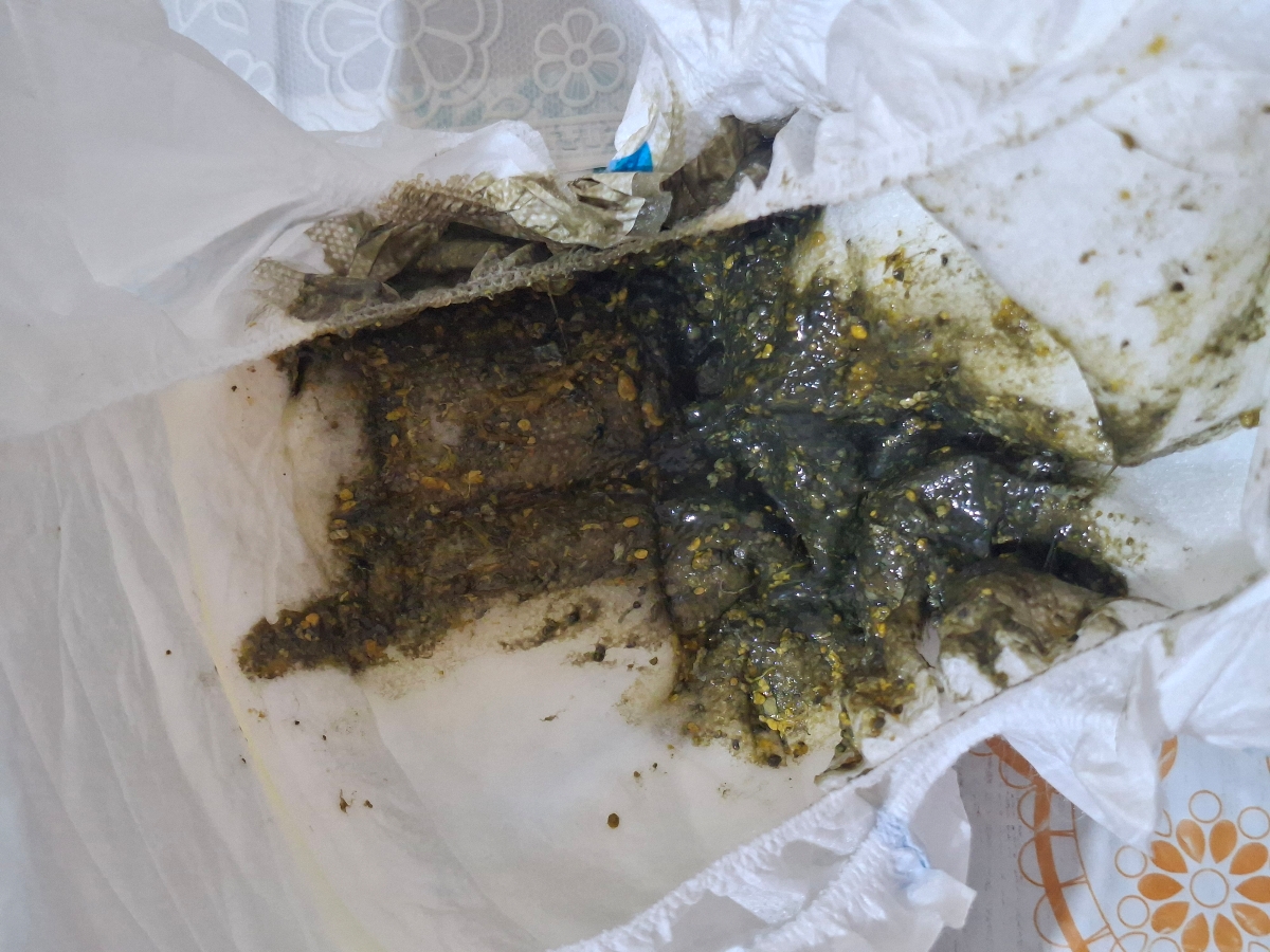 دفعش این مدلی هست
آد رو هر روز میدم ولی ساعتش مشخصی نداره هر زمان که بعد از شیرش بیدار باشه بهش میدم دفعش این مدلی هست
آد رو هر روز میدم ولی ساعتش مشخصی نداره هر زمان که بعد از شیرش بیدار باشه بهش میدم