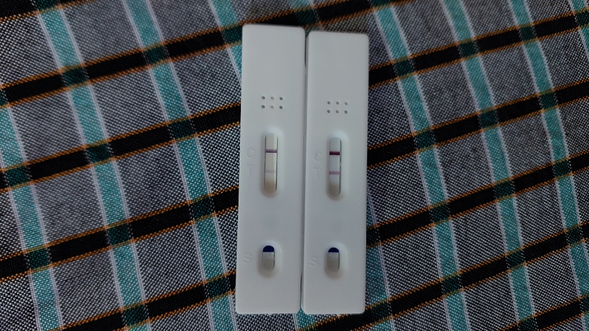 سنو تشکیل قلب کدوم هفته انجام میشه دقیقا