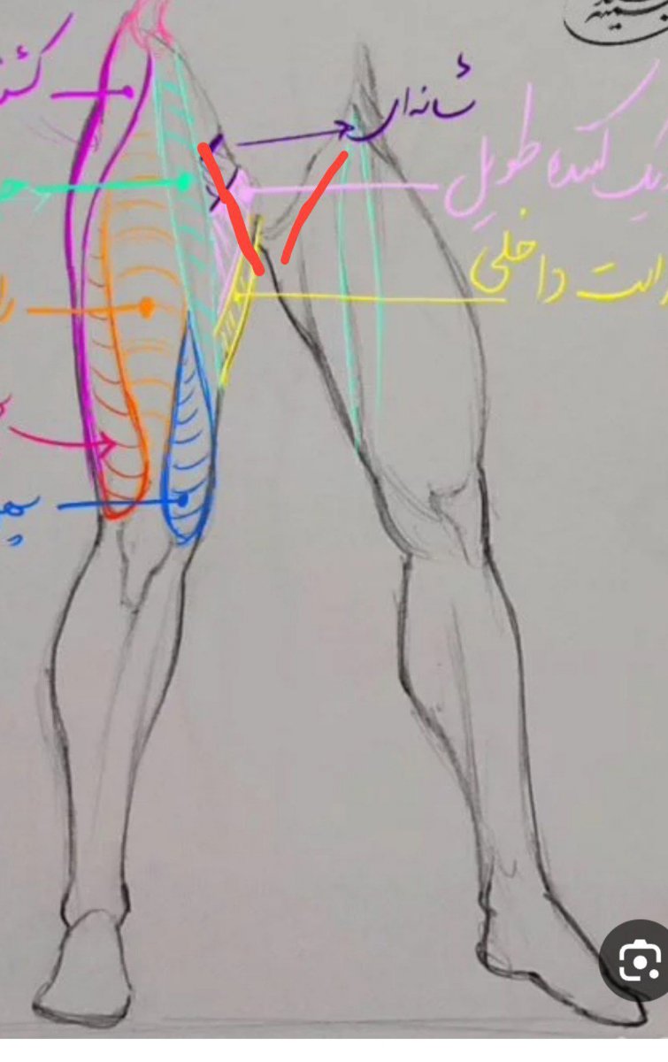 اینجا ک خط قرمز کشیدم سمت چپ درد داره اینجا را میگم ملایم با روغن زیتون ماساژ بدم