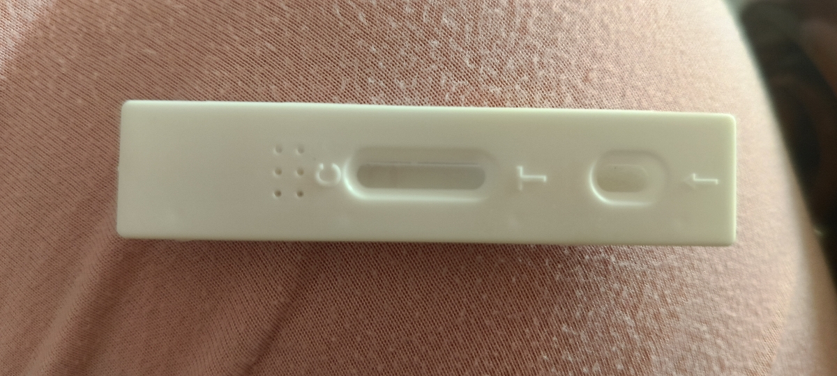 بی بی چک تو ای وی اف