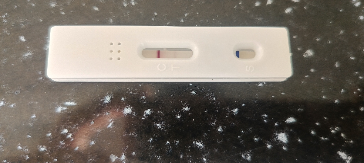 بی بی چک تو ای وی اف