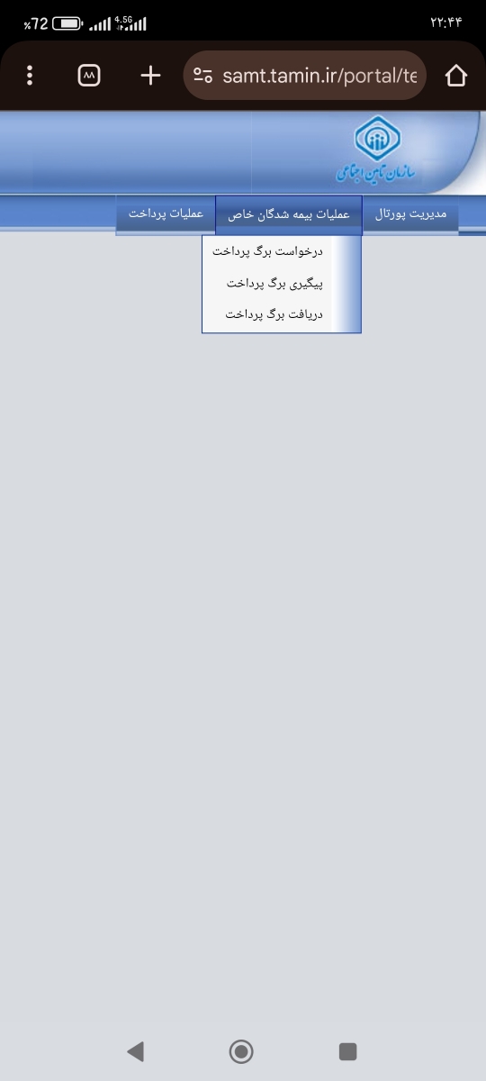 درخواست برگ پرداختو میزنی 