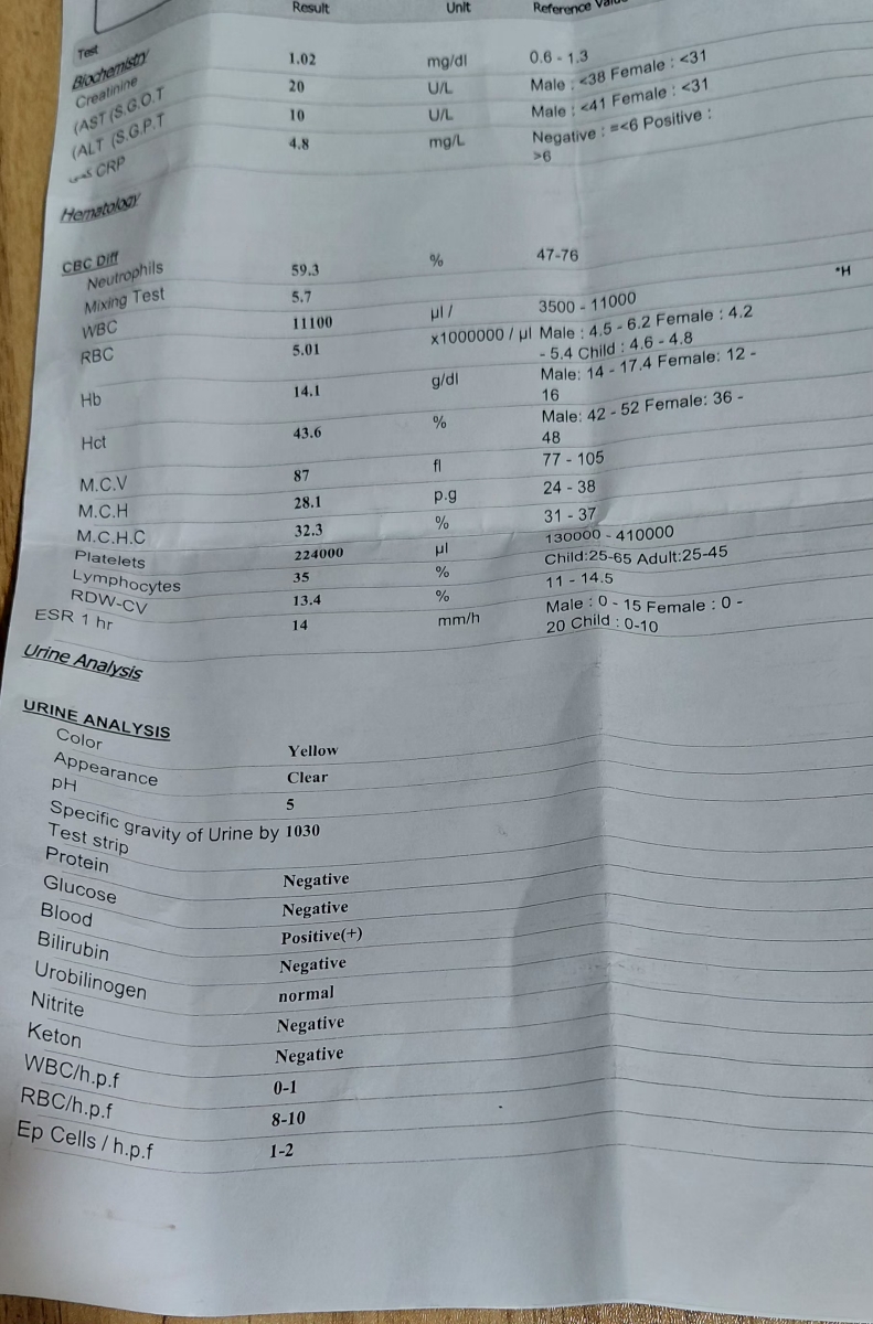 تفسیر جواب سونوگرافی