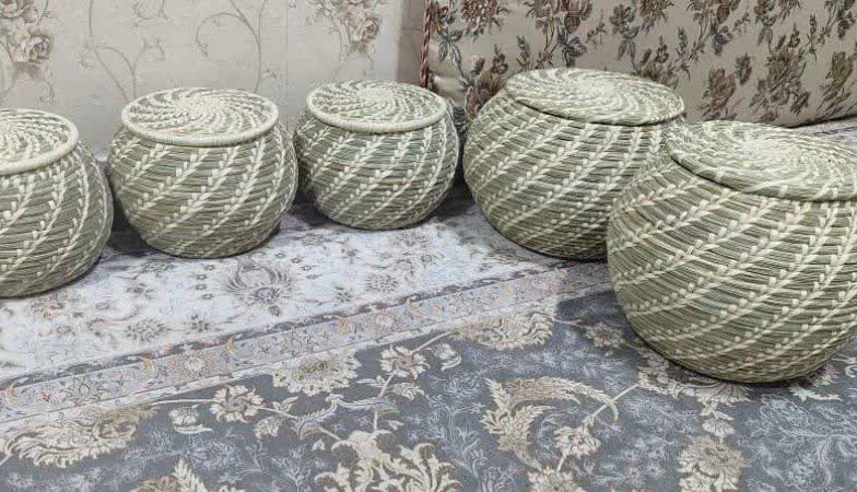 برنج حشره زده