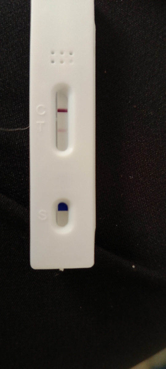 تغذیه انتقال برای یک جنین تغذیه انتقال برای یک جنین