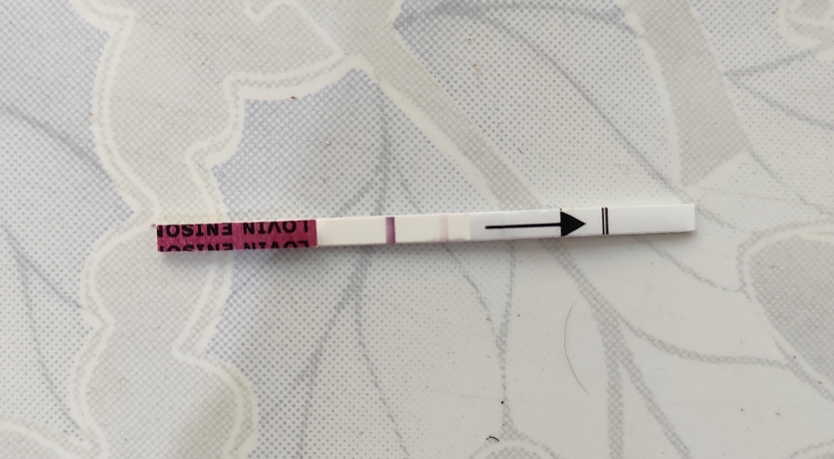 تست بارداری آیا مثبت هس یا منفی