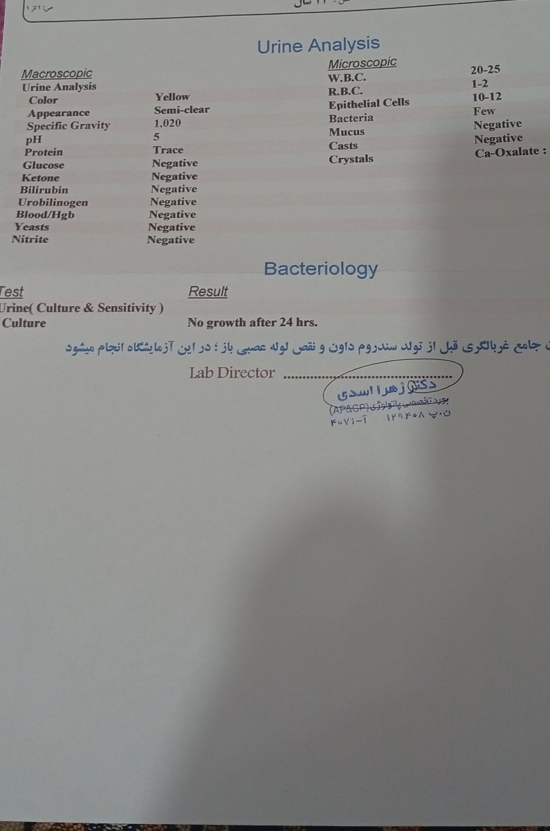 تفسیر آزمایش کشت ادرار در بارداری