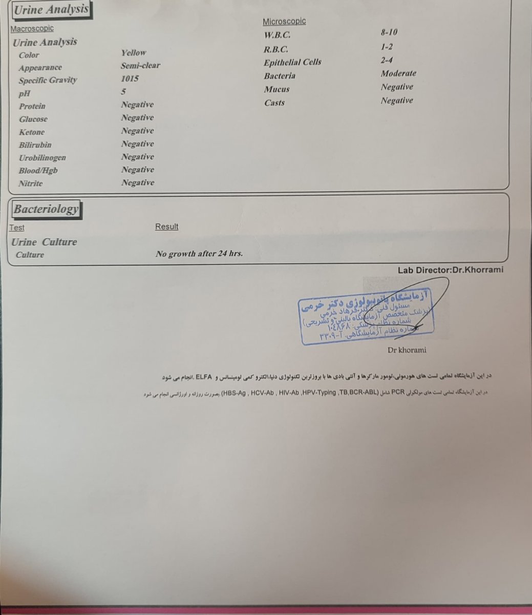 چه غذایی باید بخورم چه غذایی باید بخورم