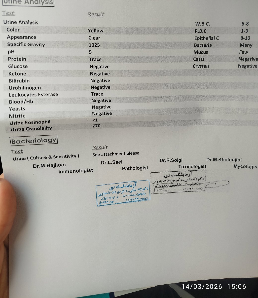 تکرار آزمایش عفونت ادرار تکرار آزمایش عفونت ادرار