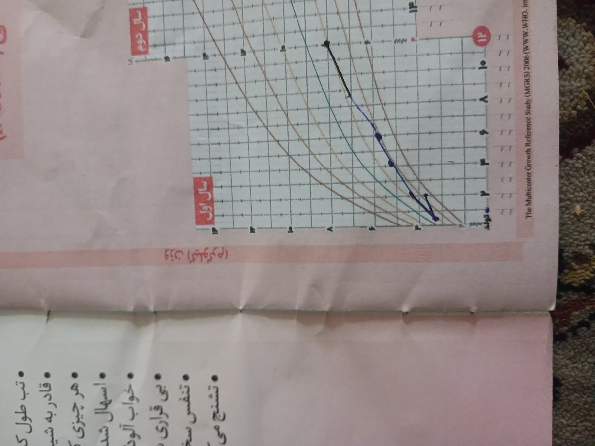 نمودار وزن
