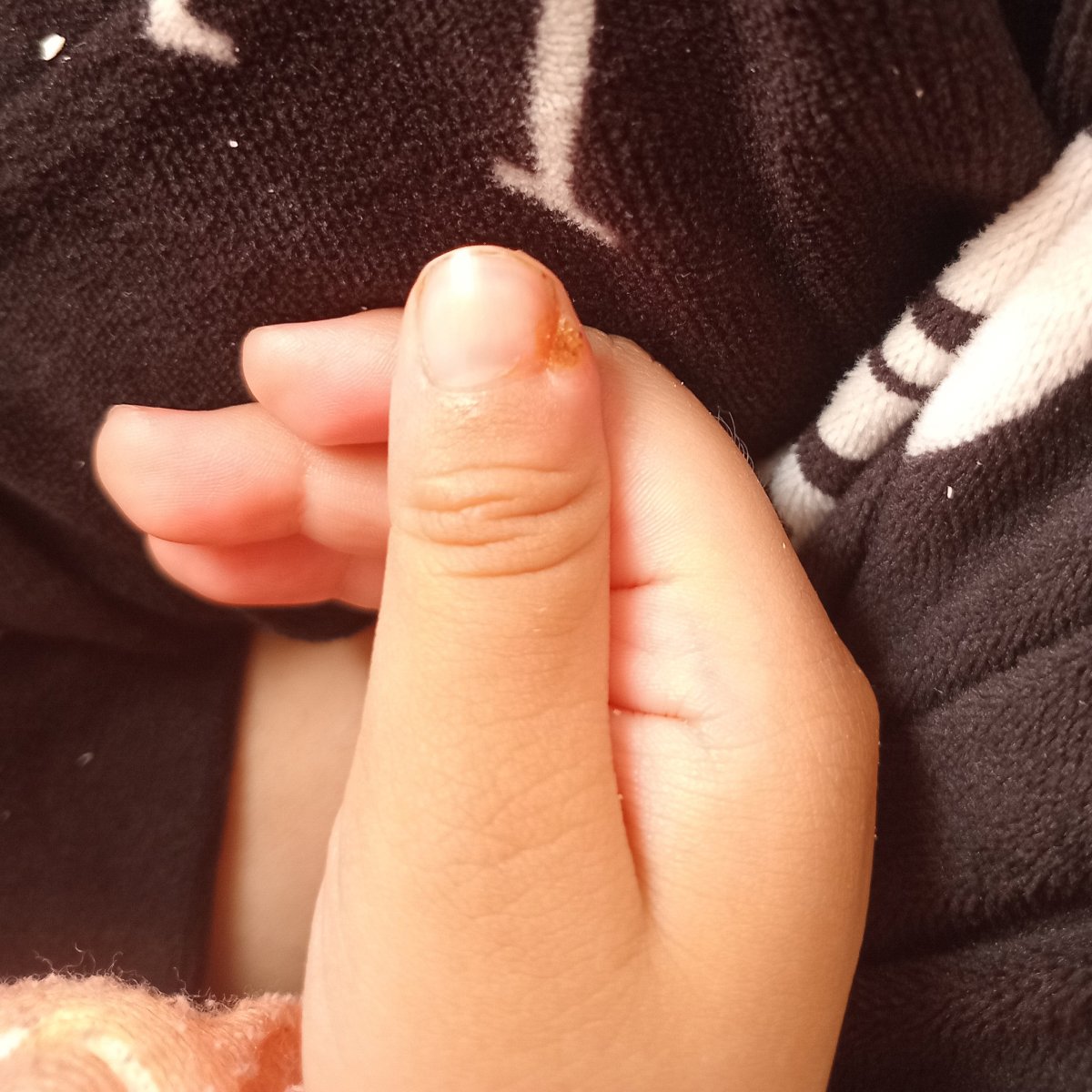 این عکس دیشب هست